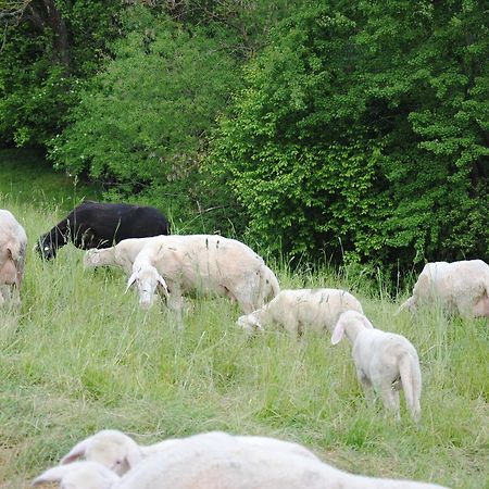 Landgasthof Seyrlberg Reichenau im Mühlkreis Exteriör bild