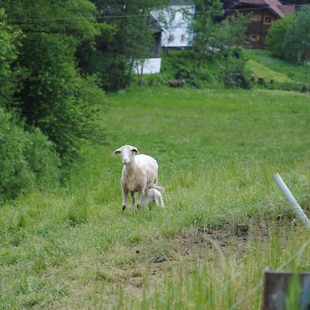 Landgasthof Seyrlberg Reichenau im Mühlkreis Exteriör bild
