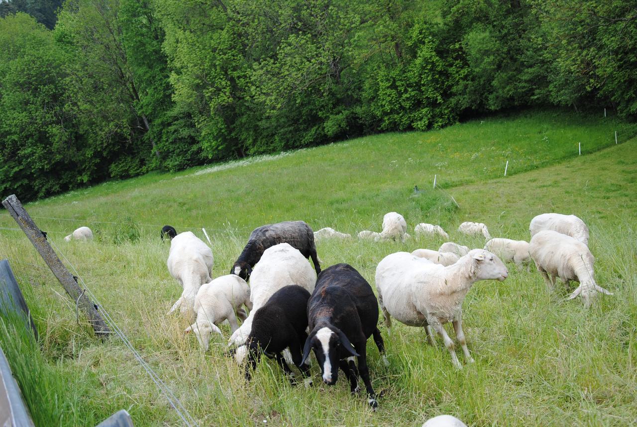 Landgasthof Seyrlberg Reichenau im Mühlkreis Exteriör bild