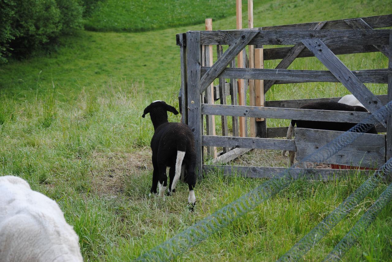 Landgasthof Seyrlberg Reichenau im Mühlkreis Exteriör bild