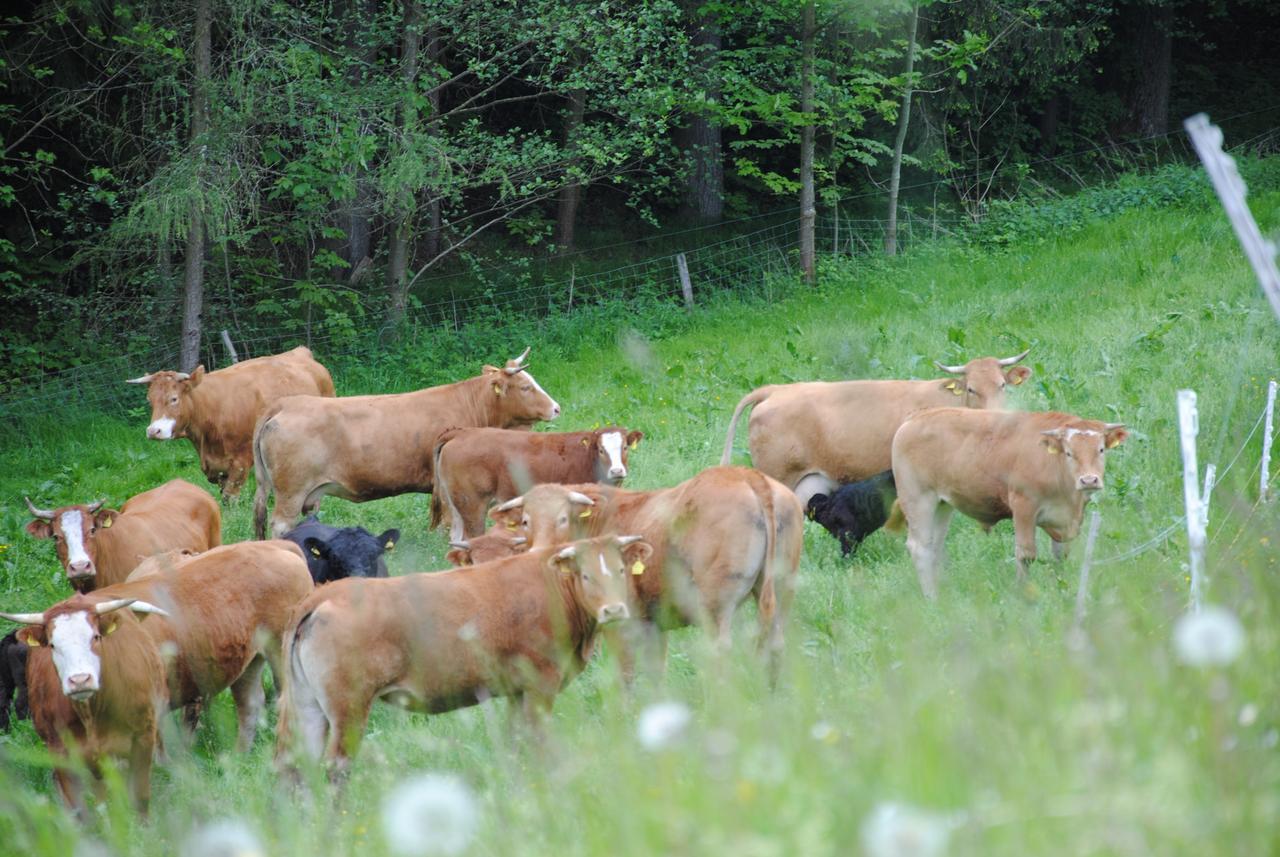 Landgasthof Seyrlberg Reichenau im Mühlkreis Exteriör bild